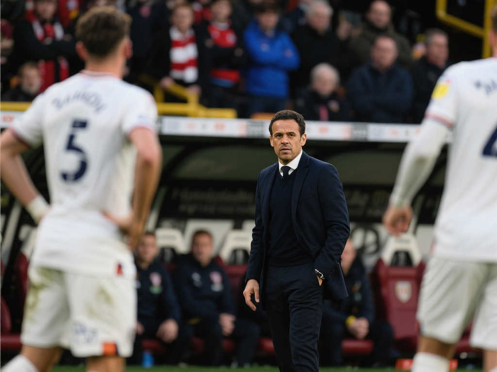 丰富的比赛 丰富的比赛