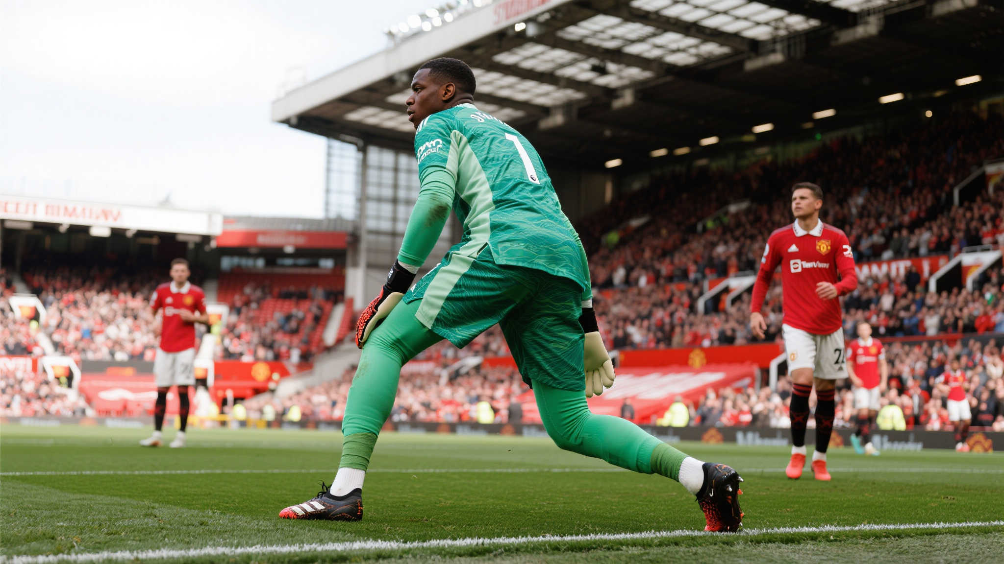 张的表情和 张的表情和