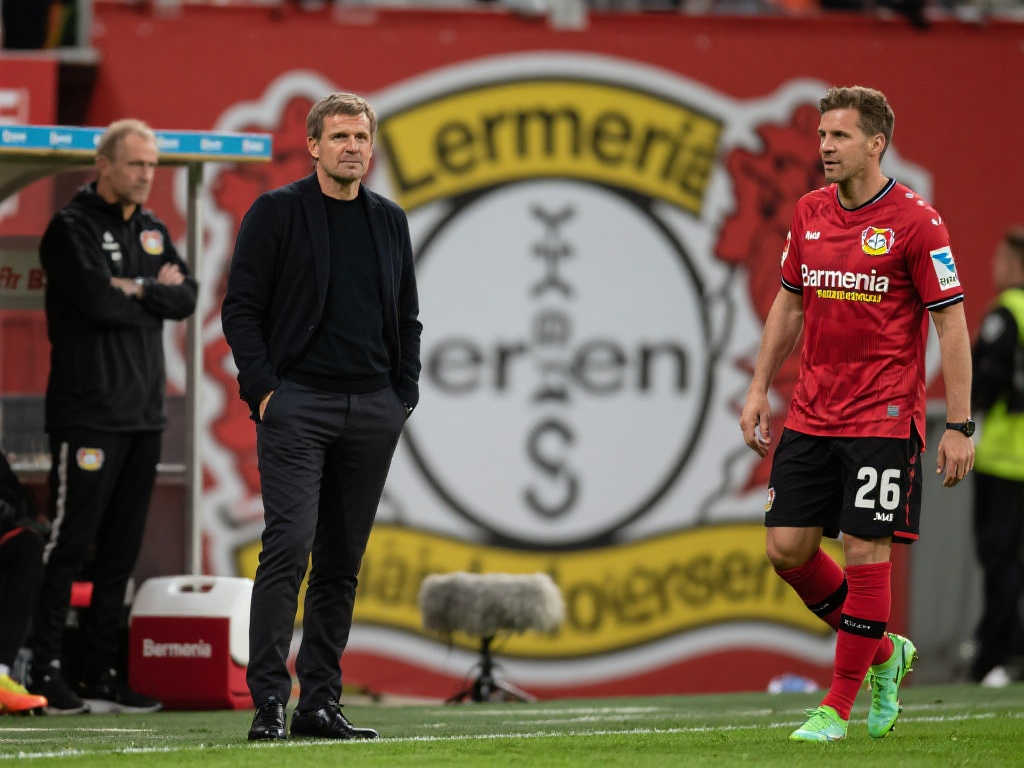 总的来说 总的来说